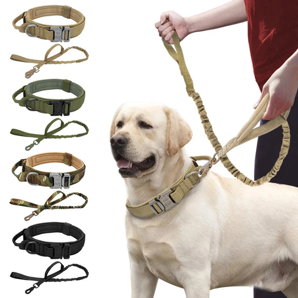 Pet Collars & Harnesses