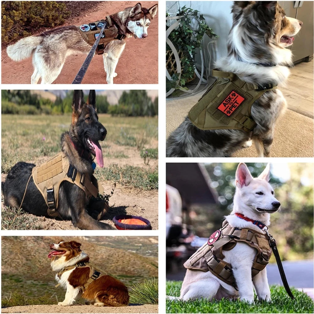 Tactical Vest Pet German Shepherd Golden Retriever Tactical Training Dog Harness and Leash Set For All Breeds Dogs