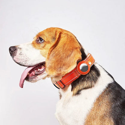 Waterproof AirTag Dog Collar 🐶