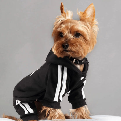 Spring Dog Jumpsuit Sports Suit for Small Dogs - Charming Pet Apparel for Chihuahua Terrier Beagle - Comfortable Clothing