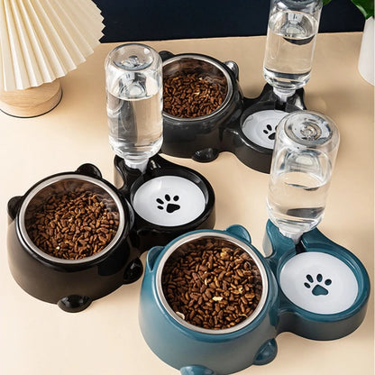Slanted Pet Feeder & Water Dispenser 🐶🐱💧