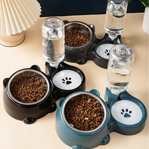 Slanted Pet Feeder & Water Dispenser 🐶🐱💧