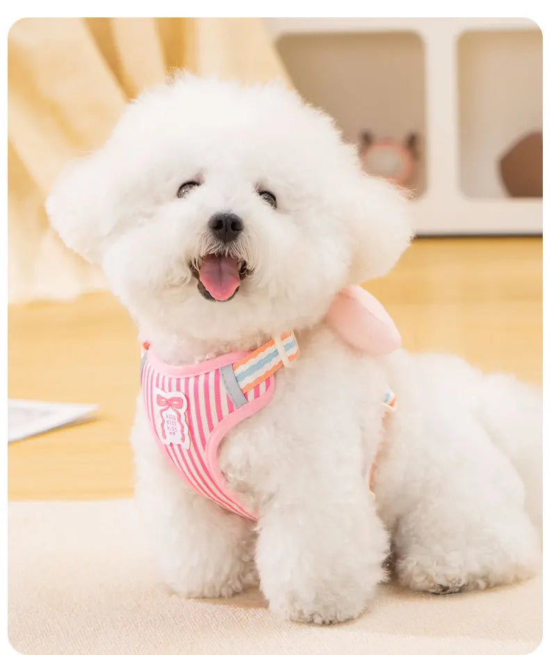 Dog harness with bow, all-season small breed no-pull leash, anti-escape leash for pet walking and gardening