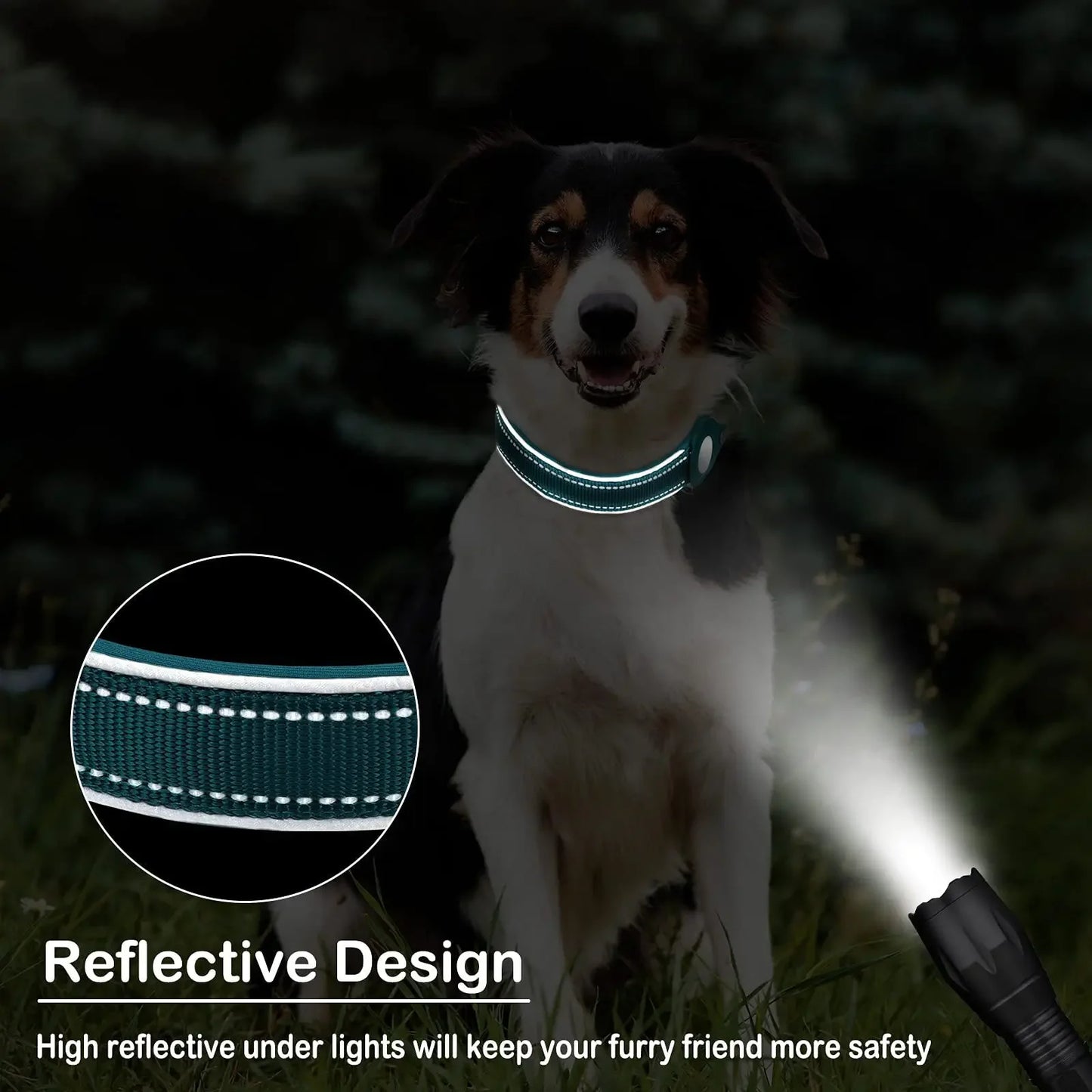 Waterproof AirTag Dog Collar 🐶