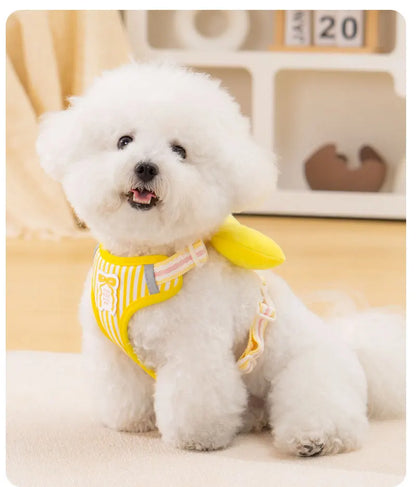 Dog harness with bow, all-season small breed no-pull leash, anti-escape leash for pet walking and gardening