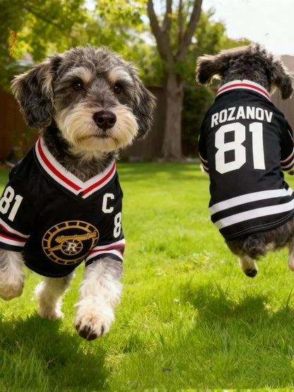 Hollander #24 Pet Hockey Jersey 🐶🏒👕