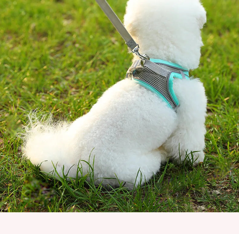 Harness for a Dog Harness Guard Harnesses for Dogs Pet Puppy Big the Small Breed Medium Anatomical Large Breeds Goods Product