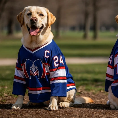 Hollander #24 Pet Hockey Jersey 🐶🏒👕