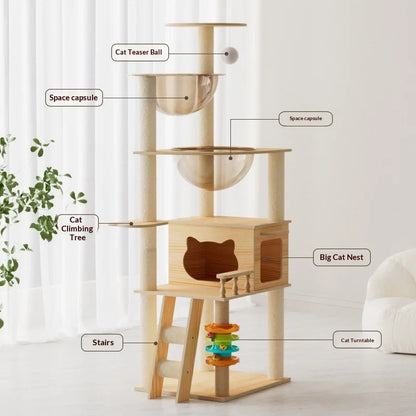 pace Capsule Cat Tree 🚀🐱