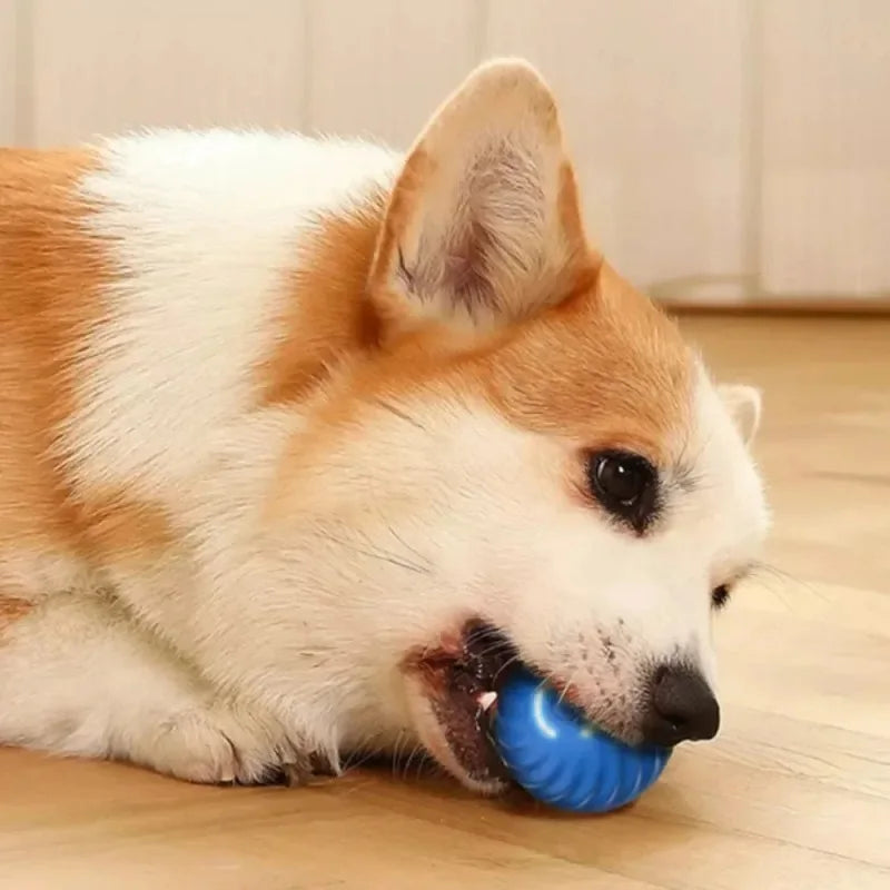 ⚡ Smart Automatic Dog Toy Ball