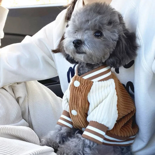 Cute Embroidered Pet Baseball Jacket Warm Dog Coat for Small Medium Dogs Cats