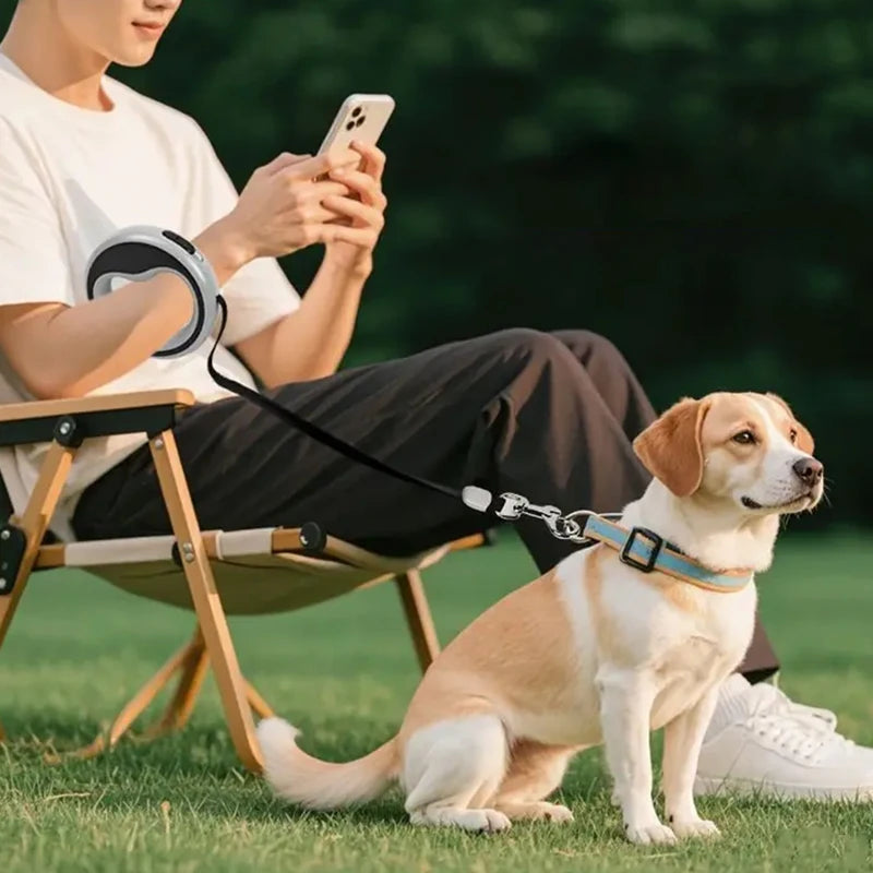 Automatic Retractable Dog Leash 2.5M