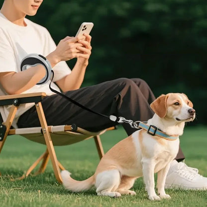 Automatic Retractable Dog Leash 2.5M