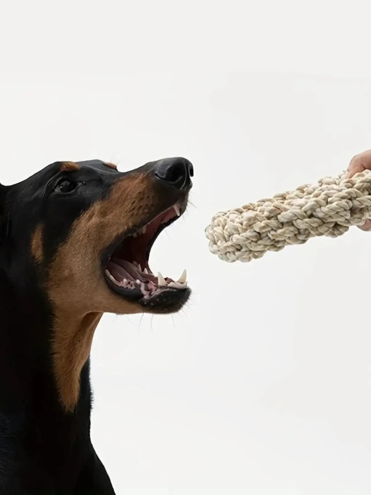 Durable Dog Rope Chew Toy