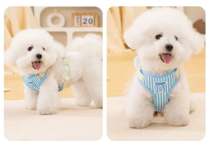 Dog harness with bow, all-season small breed no-pull leash, anti-escape leash for pet walking and gardening