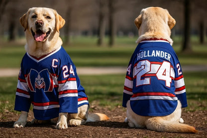 Hollander #24 Pet Hockey Jersey 🐶🏒👕