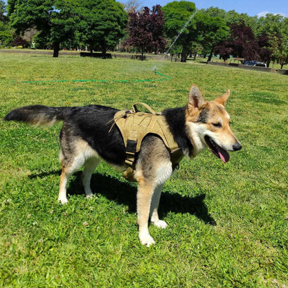 Tactical Dog Vest Harness No Pull Comfortable Adjustable Pet Harness For Medium Large Dog Military Training With Handle Labrador