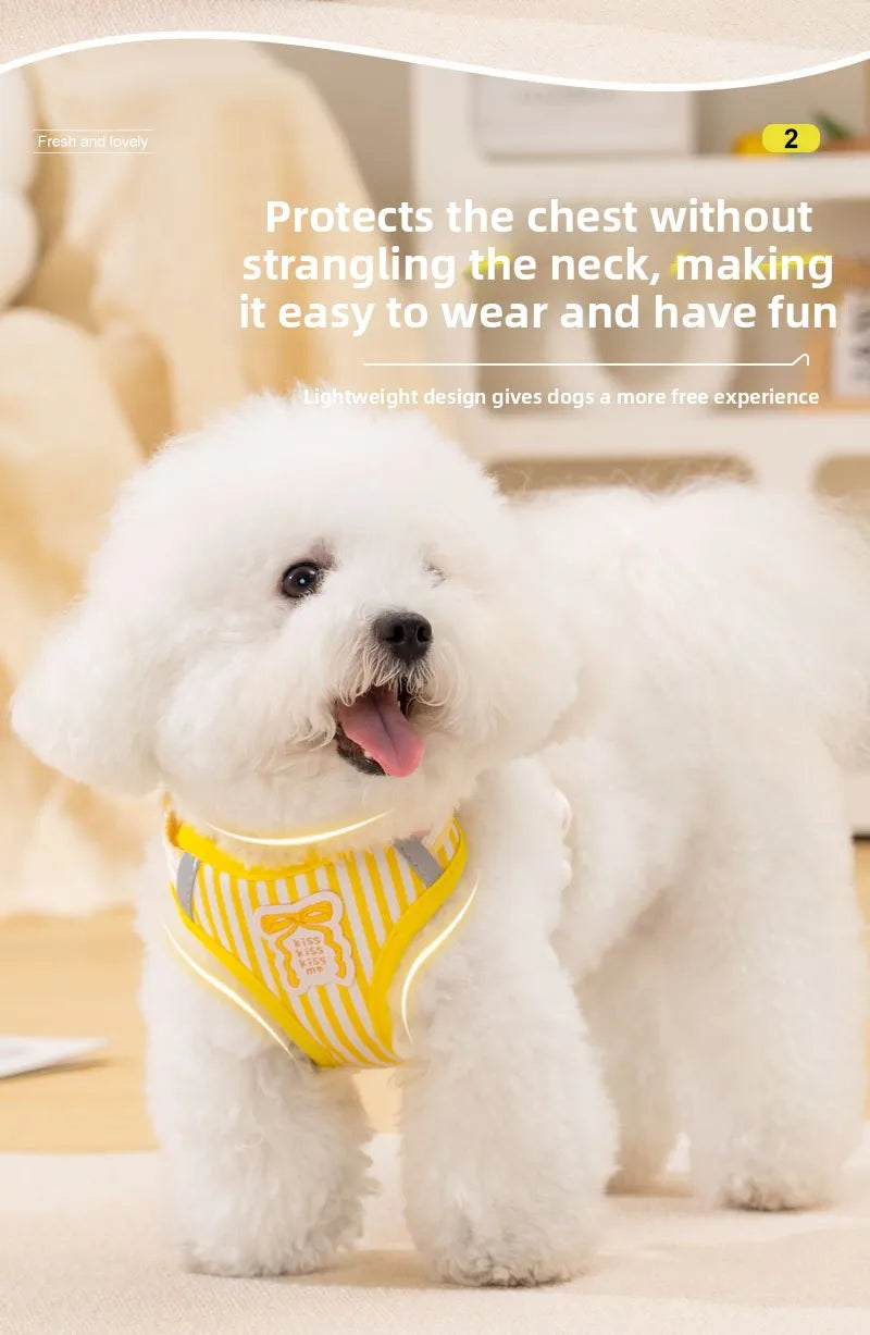 Dog harness with bow, all-season small breed no-pull leash, anti-escape leash for pet walking and gardening
