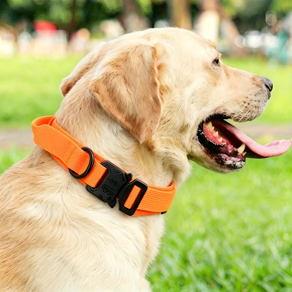 Tactical Dog Collar with Handle Adjustable Military Nylon Collar Comfortable & Durable Heavy Duty for Medium and Large Dogs