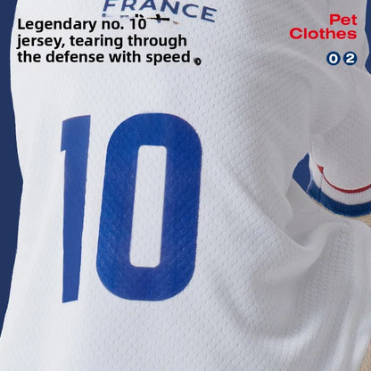 French Football team Pet Breathable Mesh Jersey Summer Quick Dry Vest Thin Cool T Shirt Clothes for Cats Dogs Puppy