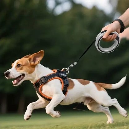 Automatic Retractable Dog Leash 2.5M