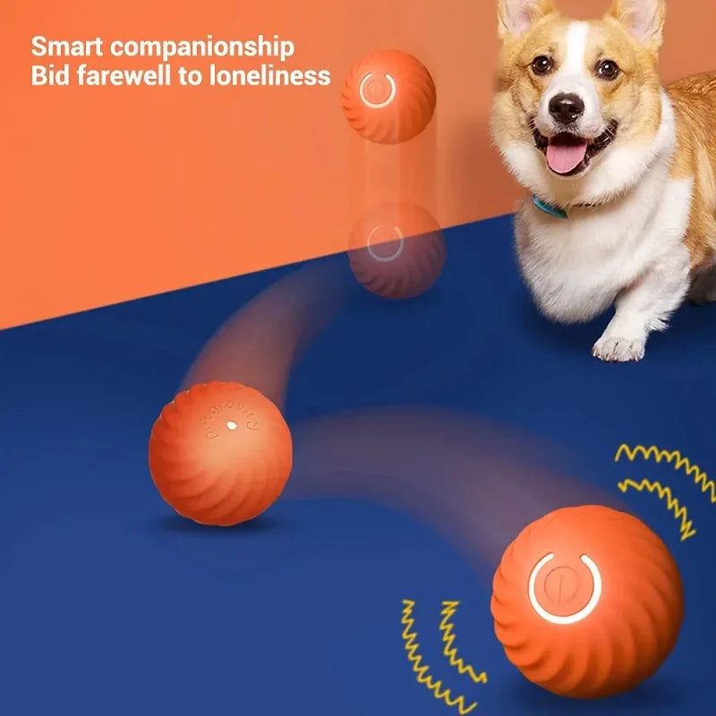 ⚡ Smart Automatic Dog Toy Ball