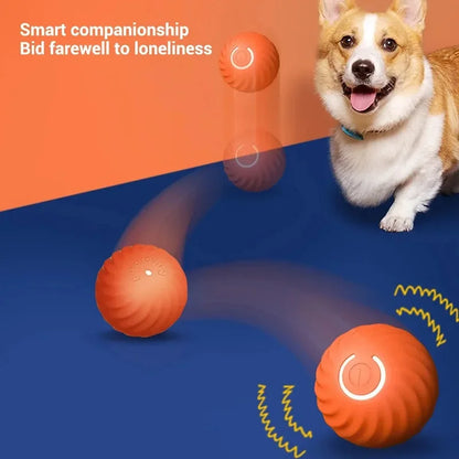 ⚡ Smart Automatic Dog Toy Ball