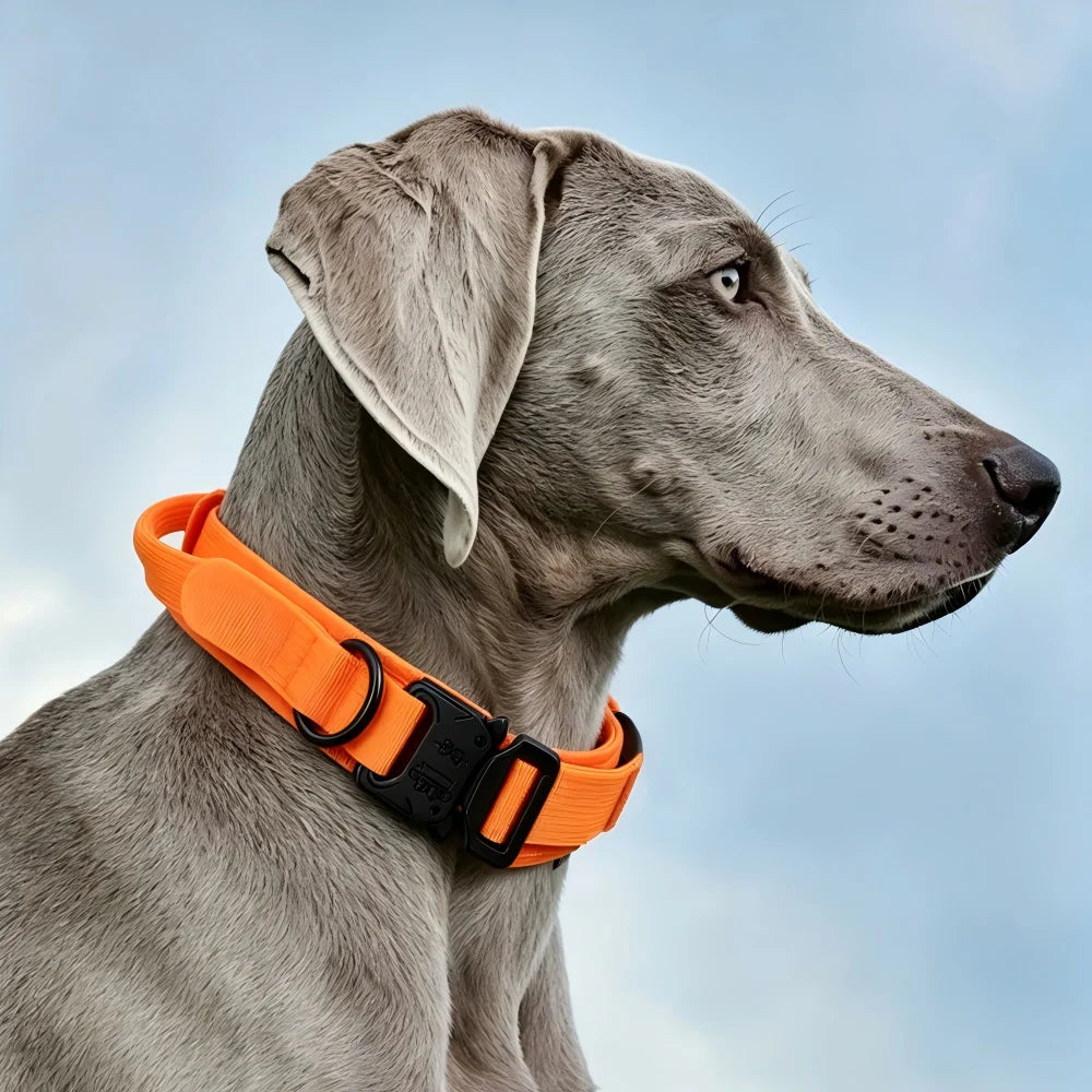 Tactical Dog Collar with Handle Adjustable Military Nylon Collar Comfortable & Durable Heavy Duty for Medium and Large Dogs