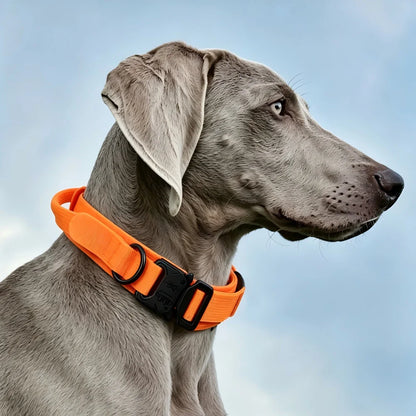 Tactical Dog Collar with Handle Adjustable Military Nylon Collar Comfortable & Durable Heavy Duty for Medium and Large Dogs
