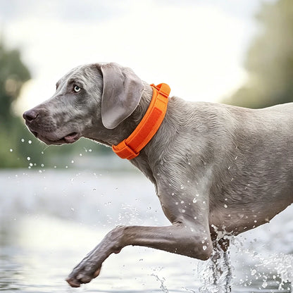 Tactical Dog Collar with Handle Adjustable Military Nylon Collar Comfortable & Durable Heavy Duty for Medium and Large Dogs