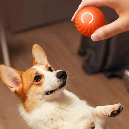 ⚡ Smart Automatic Dog Toy Ball