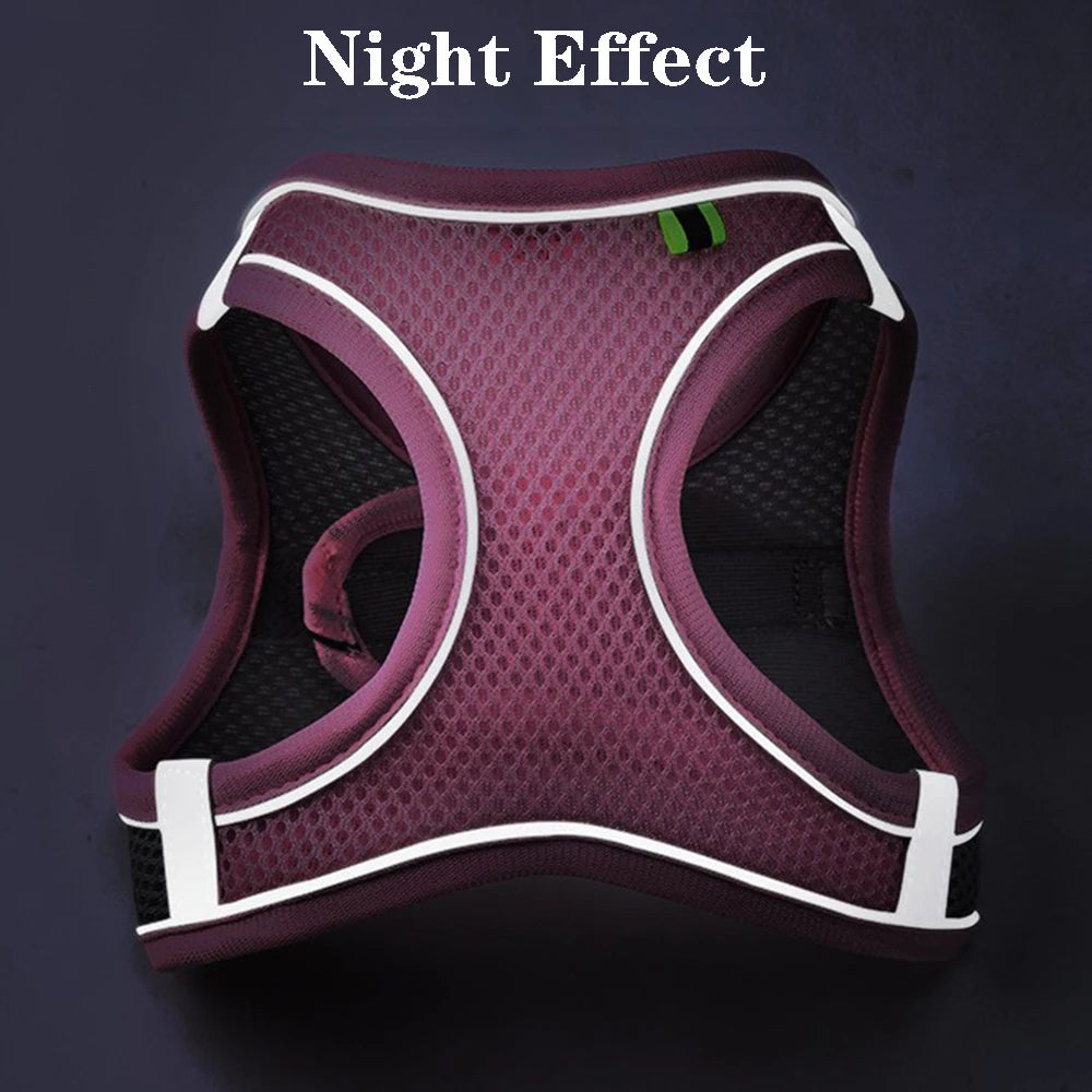 Reflective Pet Harness Set