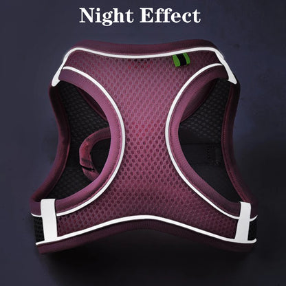 Reflective Pet Harness Set