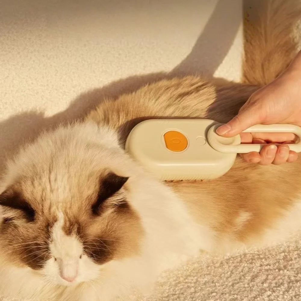 Pet Mist Spray Grooming Brush: Detangling & Massage Tool for Cats with Water Spray Function, Reduces Shedding and Smooths Coat
