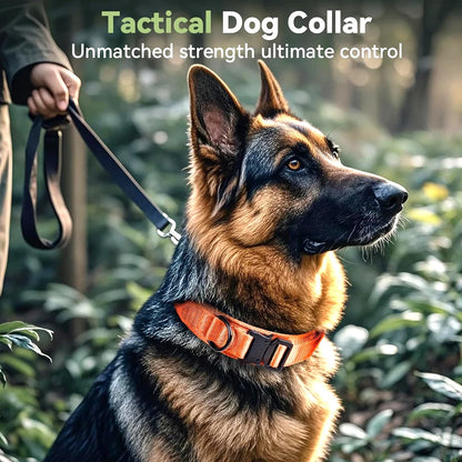 Tactical Dog Collar with Handle Adjustable Military Nylon Collar Comfortable & Durable Heavy Duty for Medium and Large Dogs