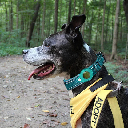Waterproof AirTag Dog Collar 🐶