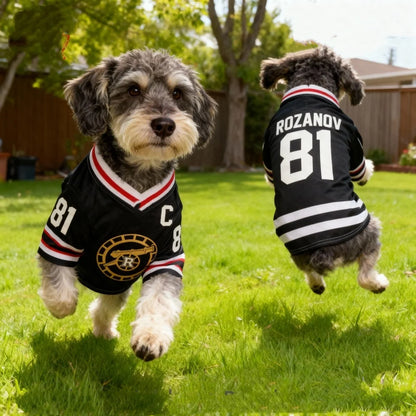 Hollander #24 Pet Hockey Jersey 🐶🏒👕