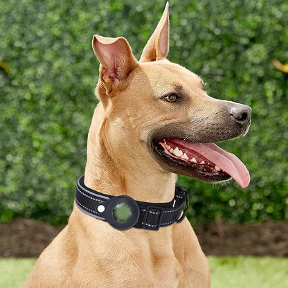 Waterproof AirTag Dog Collar 🐶